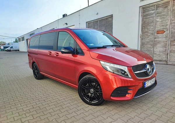 Mercedes-Benz Klasa V cena 370539 przebieg: 33000, rok produkcji 2022 z Tychy małe 172